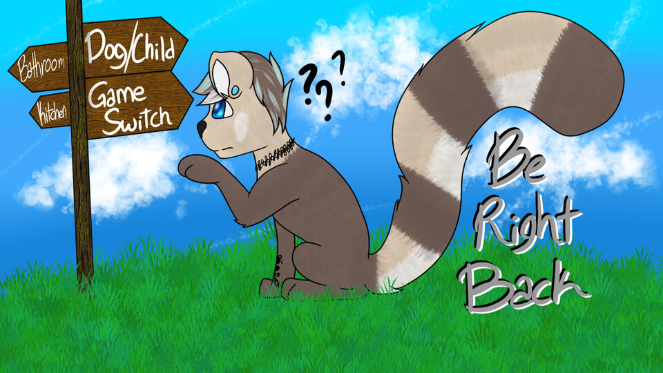 JaceGalaxy BRB Splash